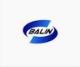 China Balin Power Co  Ltd