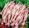 Grade-A-Chicken-feet-and-Halal-Whole-Frozen-Chicken